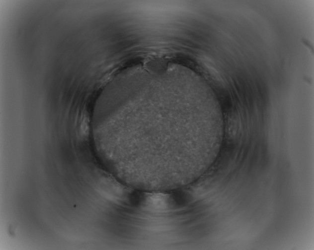 X0000091340226200708241230