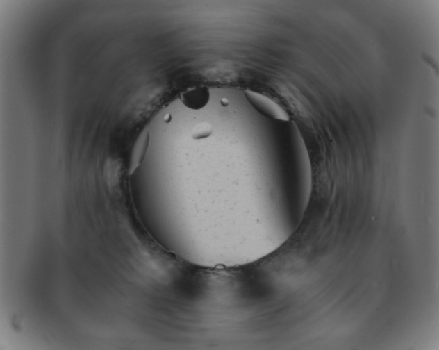 X0000091340229200708241230