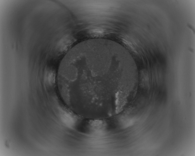 X0000091340230200708241230