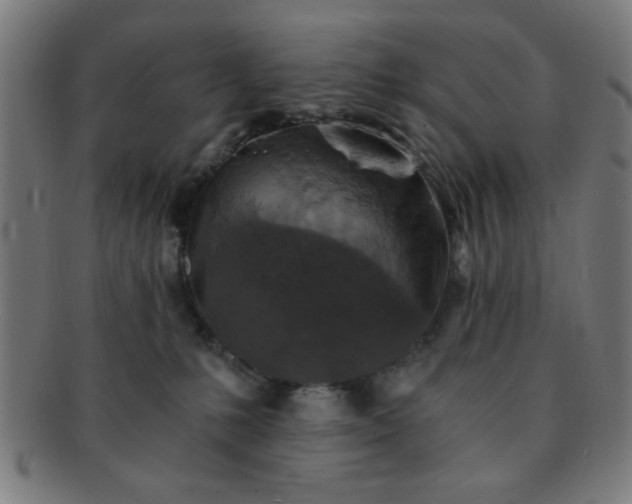 X0000091340231200708241230