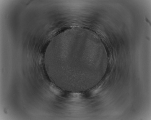 X0000091340233200708241230