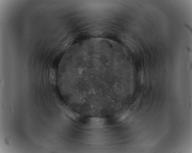 X0000091340234200708241230