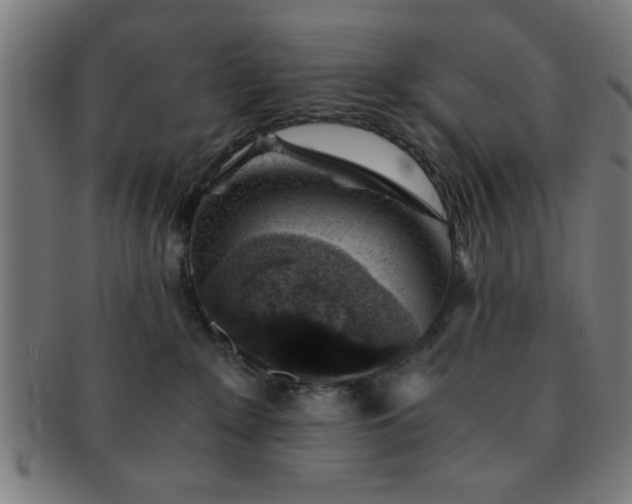 X0000091340235200708241230