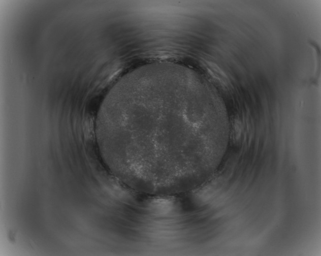 X0000091340236200708241230