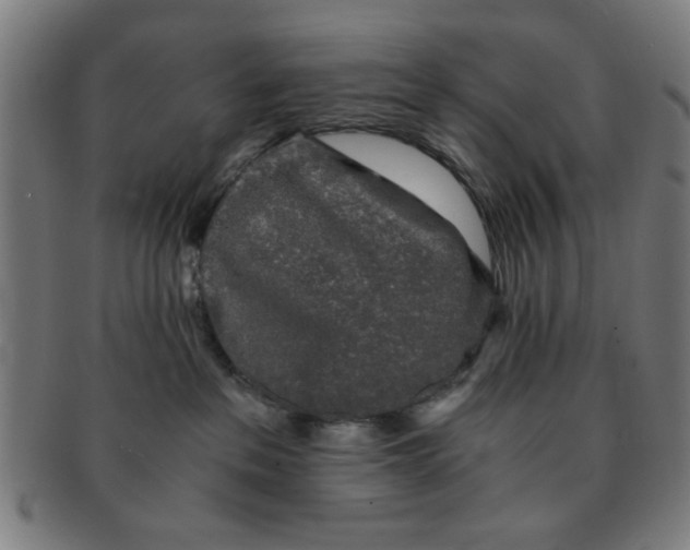 X0000091340237200708241230