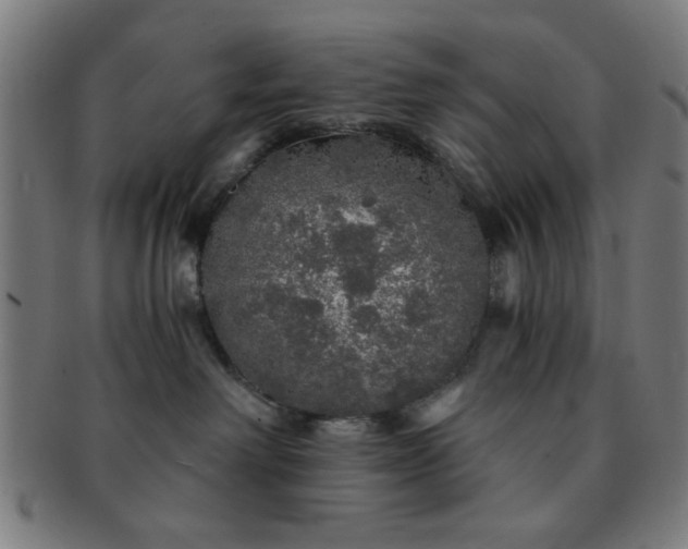 X0000091340238200708241230