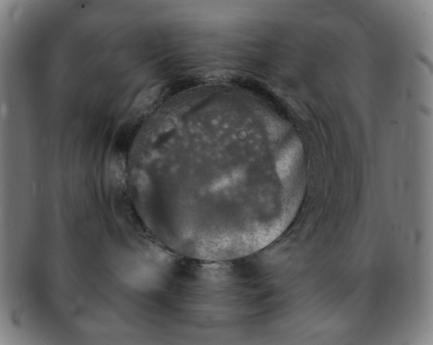 X0000091340240200708241230