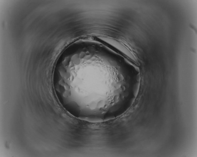 X0000091340241200708241229