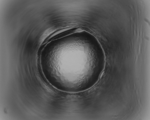 X0000091340242200708241229