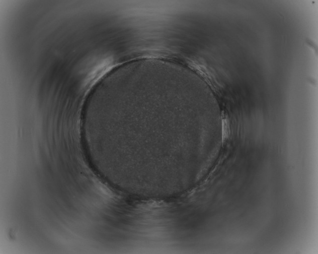 X0000091340243200708241229