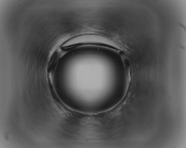 X0000091340244200708241229