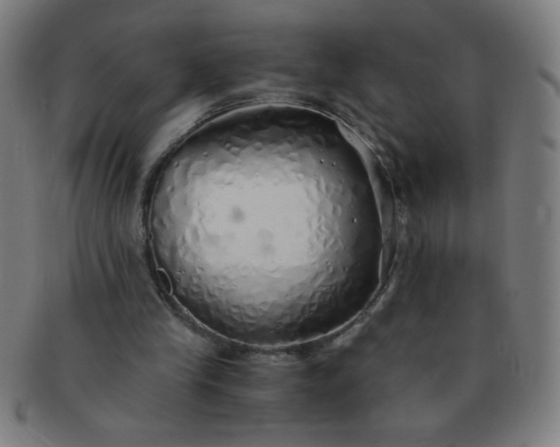 X0000091340245200708241229