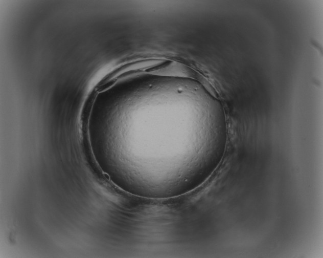 X0000091340246200708241229