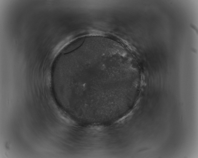 X0000091340247200708241229