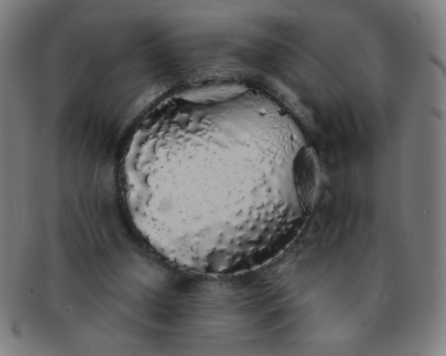 X0000091340250200708241229