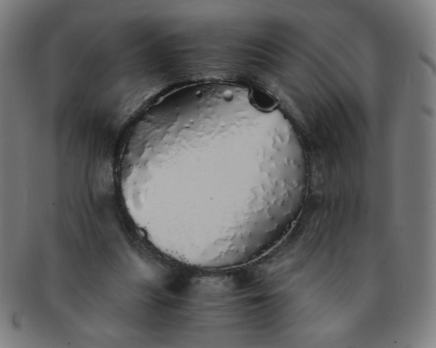 X0000091340251200708241229