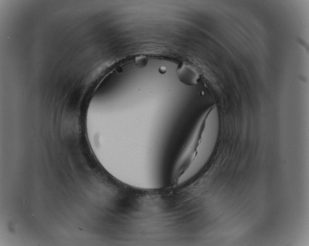 X0000091340252200708241229