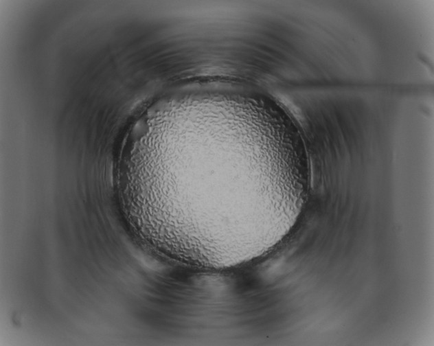 X0000091340253200708241229