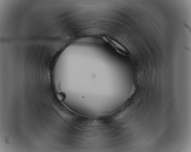 X0000091340254200708241230