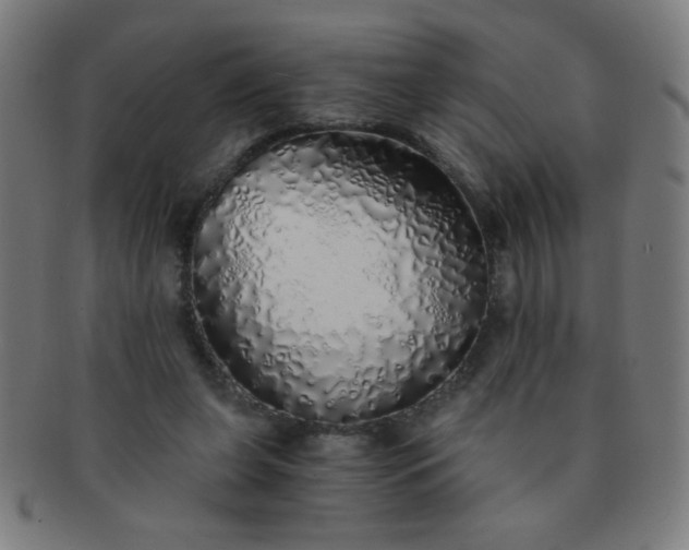 X0000091340255200708241230