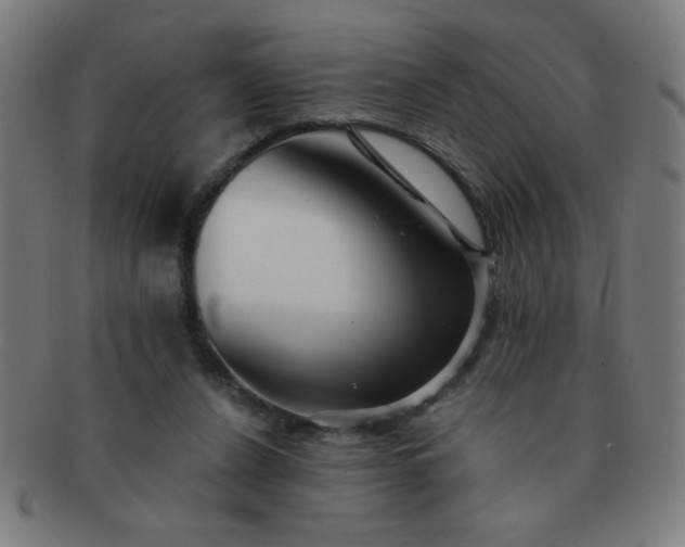 X0000091340256200708241230