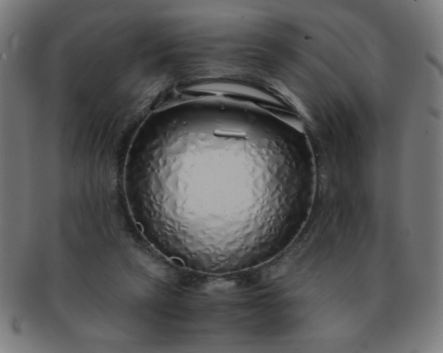 X0000091340257200708241230