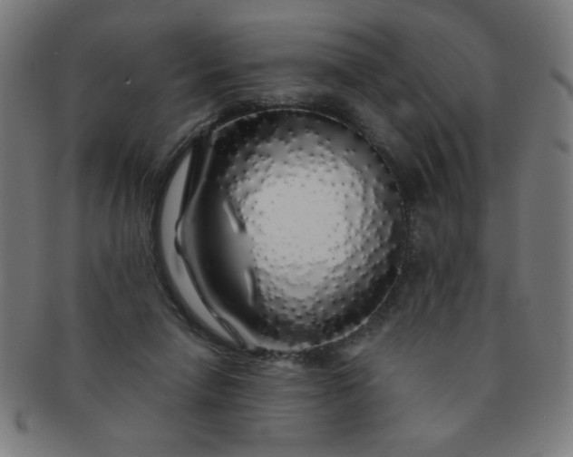 X0000091340258200708241230