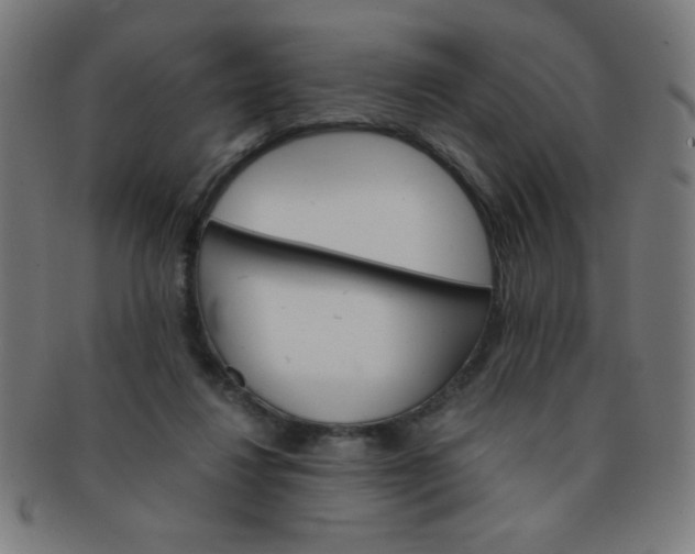 X0000091340260200708241230