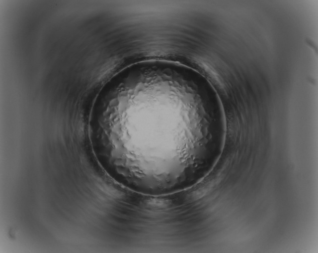 X0000091340261200708241230