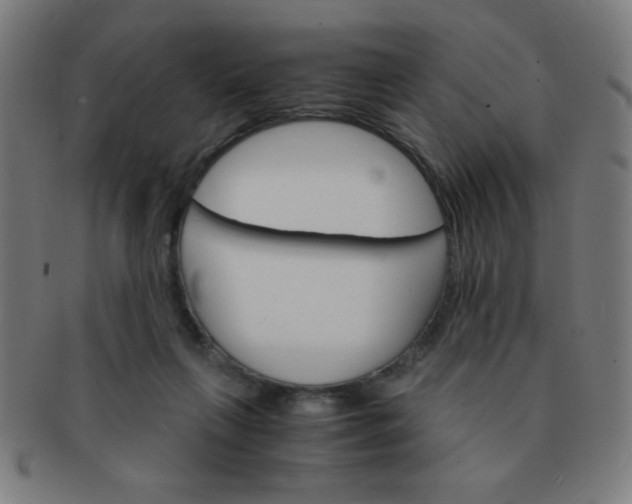 X0000091340263200708241230