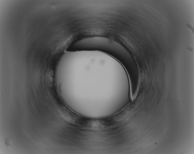 X0000091340264200708241230