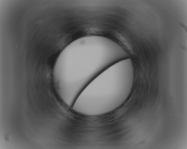 X0000091340265200708241230