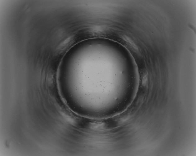 X0000091340266200708241230