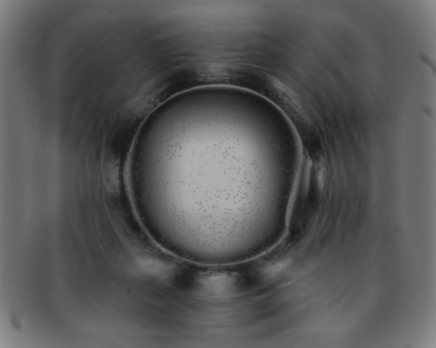 X0000091340267200708241230