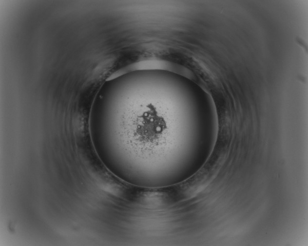 X0000091340268200708241230