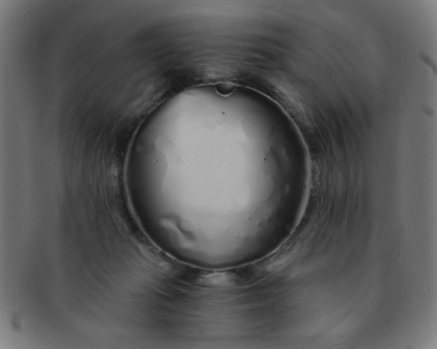 X0000091340269200708241230