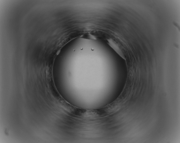 X0000091340270200708241230