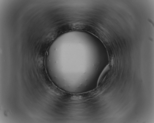 X0000091340271200708241230