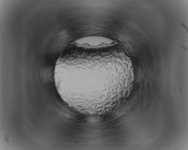 X0000091340273200708241230