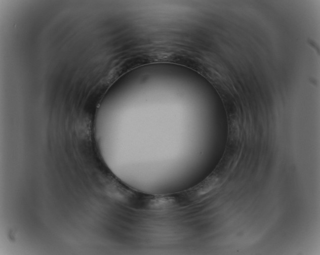 X0000091340274200708241230