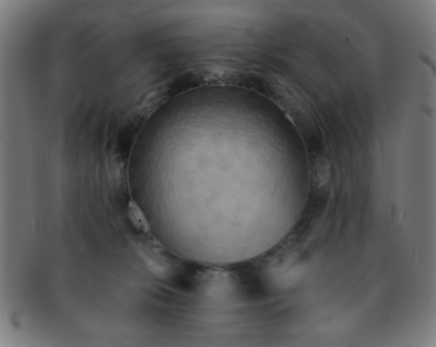 X0000091340276200708241230