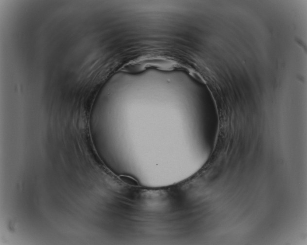 X0000091340277200708241230