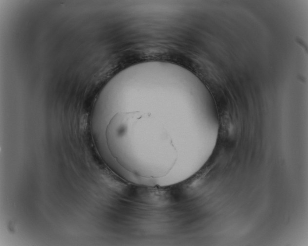 X0000091340278200708241230