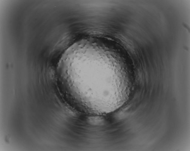 X0000091340281200708241230