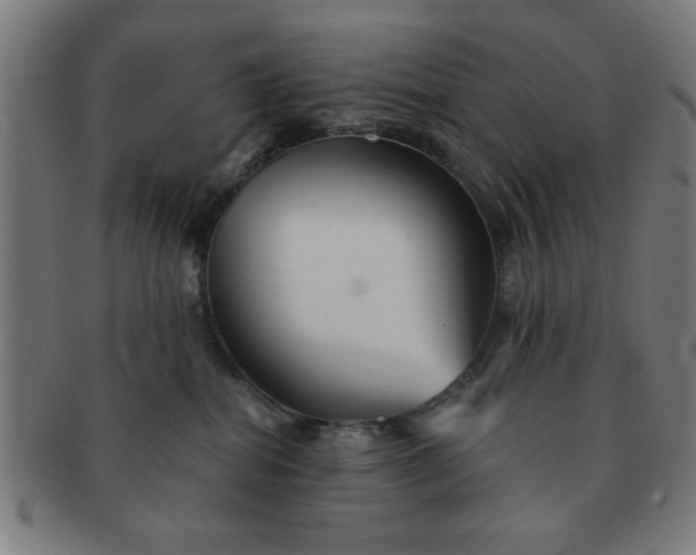 X0000091340282200708241230