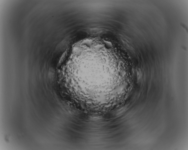 X0000091340283200708241230