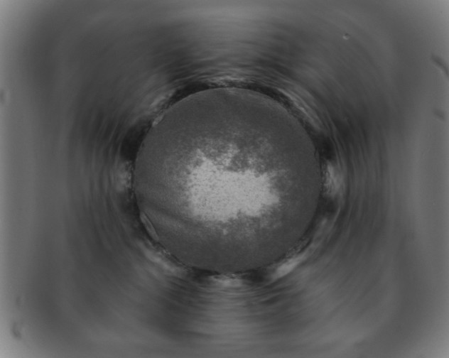 X0000091340284200708241230