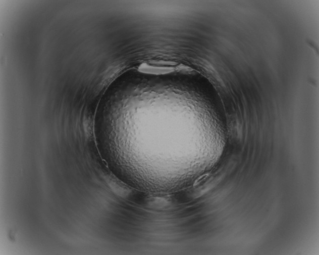 X0000091340285200708241230