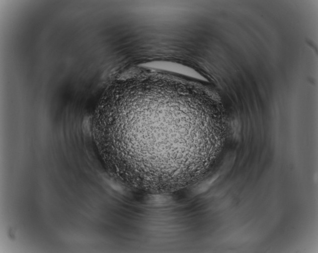 X0000091340286200708241230