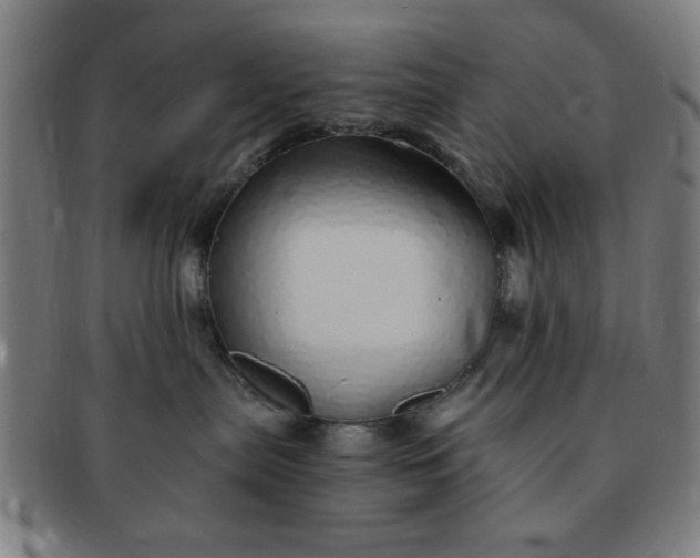 X0000091340287200708241230